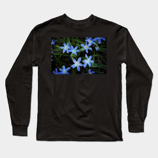 Scilla Flowers In The Morning Long Sleeve T-Shirt by machare